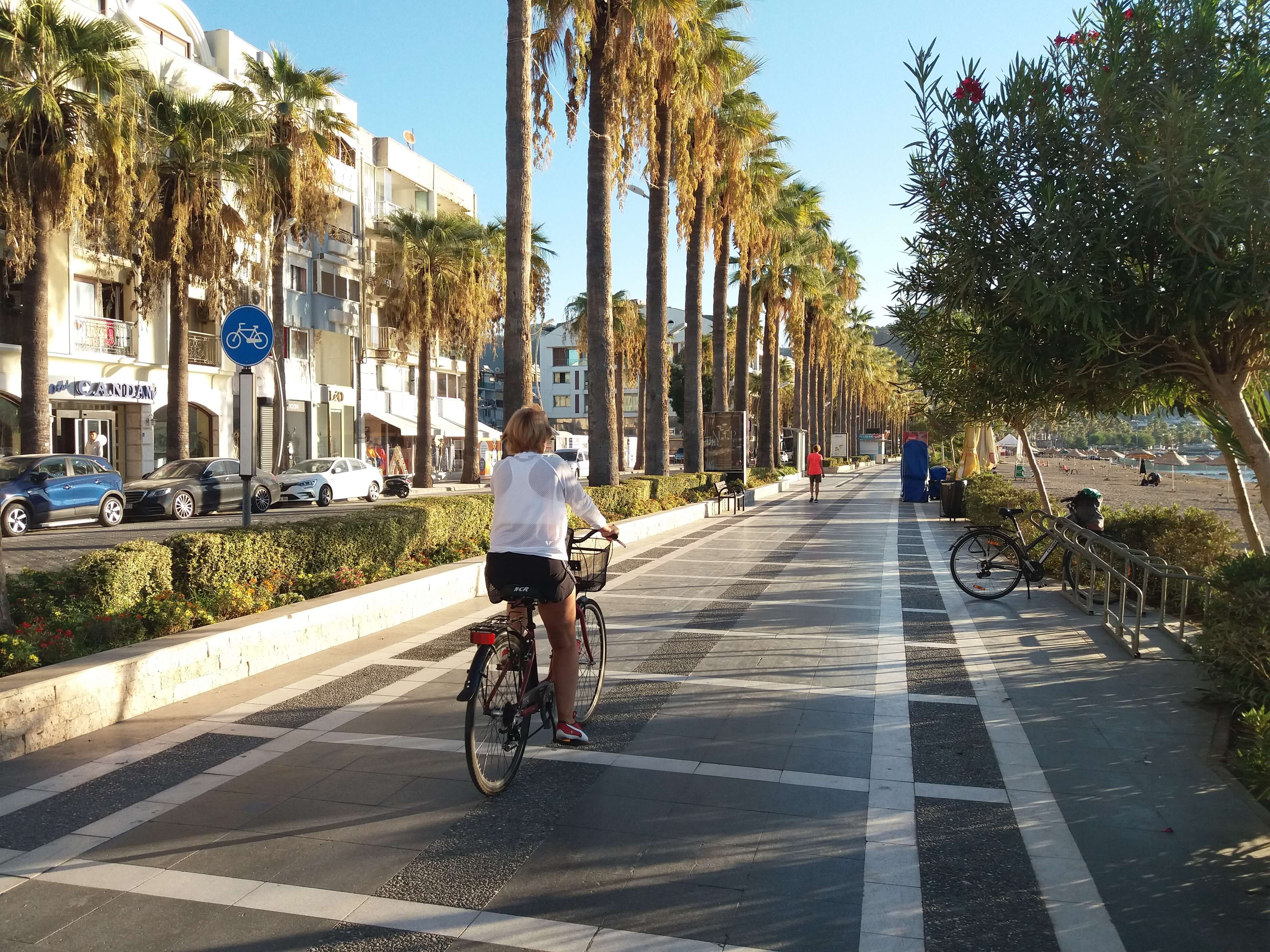 an older woman cycling down a palm tree lined cycling path beside the beach