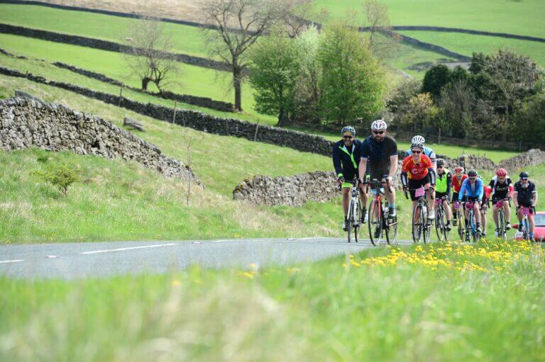 A peloton of cyclists riding up a hill on a country lane in the Yorkshire countryside. Views of rolling hills, fields and dry stone walls.