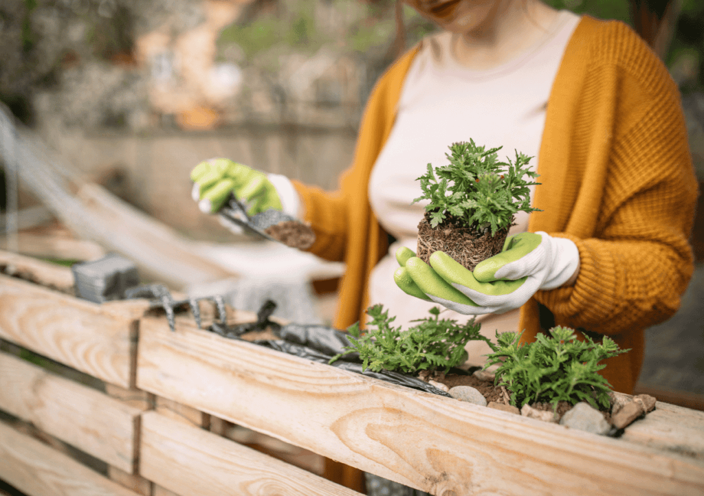 a woman planting plants into a wooden planter box